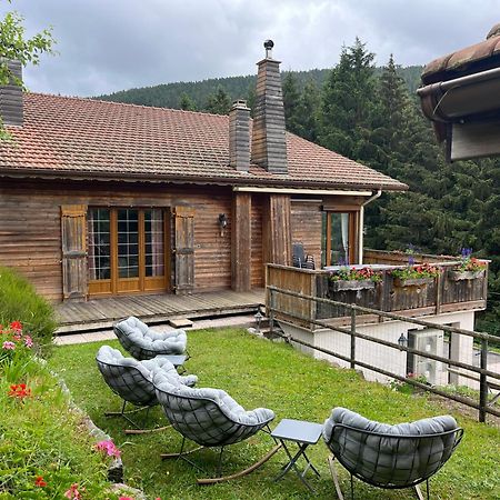Gite Au 21 Vosgien Вантрон Экстерьер фото